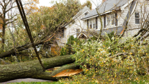 Damage from the devastating Hurricane Helene.