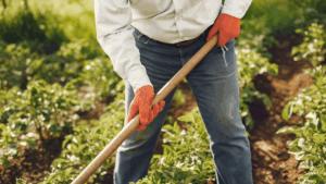 Retirement planning is a lot like farming. 